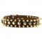 Spiked and Studded Newfoundland Leather Collar
