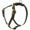 Y-Shaped Leather Newfoundland Harness for Tracking and Training