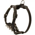 Durable Spiked Leather Puppy Newfoundland Harness