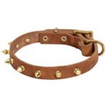 Walking Designer Leather Newfoundland Collar with Brass Spikes