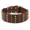Extra Wide Leather Spiked and Studded Newfoundland Collar