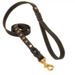 Studded Leather Newfoundland Leash for Dog Walking and Training