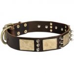 Designer War-Style Leather Newfoundland Collar with Spikes and Plates