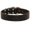 Wide Leather Newfoundland Collar for Training and Walking