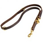 Multifunctional Leather Newfoundland Leash