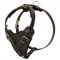 Protection Leather Newfoundland Harness for Attack / Agitation Dog Training
