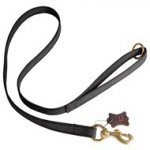 All Weather Nylon Newfoundland Leash for Walking and Training Activities
