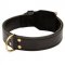 Training 2 Ply Leather Newfoundland Collar