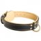 Padded Leather Newfoundland Collar