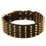 Wide Spiked Leather Newfoundland Collar
