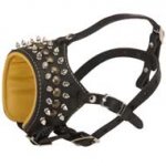 Royal Spiked and Studded Leather Newfoundland Muzzle
