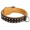 Spiked Newfoundland Collar Padded with Nappa Leather