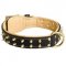 Royal Leather Newfoundland Collar Spiked Padded with Nappa Leather