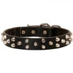 Fancy Design Leather Newfoundland Collar with Nickel Pyramids