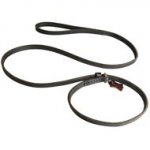 Leather Newfoundland Choke Collar and Leash Combo for Profssional Training and Walking