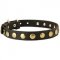Leather Newfoundland Collar with Brass Circles for Fashionable Walking