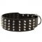 Extra Wide 4 Rows Studded Leather Newfoundland Collar