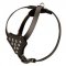 Designer Leather Newfoundland Harness with Adjustable Straps for Puppy Walking and Training