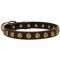 Leather Newfoundland Collar with Brass Dotted Circles for Fashion Walking