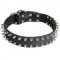 Leather Newfoundland Collar with 2 Rows of Nickel Spikes