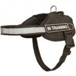 Nylon Newfoundland Harness with Reflective Strap for Training, Walking, Police Service, SAR and More