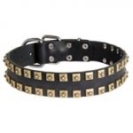 2 Rows Brass Studded Leather Newfoundland Collar for Walking and Training