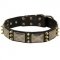 Newfoundland Spiked Leather Collar with Nickel Plates