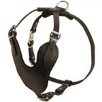 Adjustable Leather Newfoundland Harness for Attack / Agitation Training