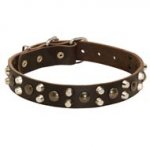Leather Newfoundland Collar With Studs and Pyramids