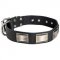 Leather Newfoundland Collar Massive Nickel Plates
