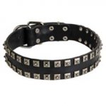 New Leather Newfoundland Collar - Fashion Exclusive Design - "Caterpillar"