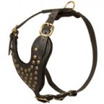 Adjustable Studded Leather Newfoundland Harness for Fashion Walking
