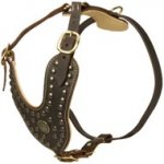 Royal Design Leather Newfoundland Harness with Brass Studs