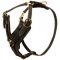 Padded Leather Newfoundland Harness for Agitation Training