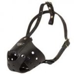 Everyday Leather Newfoundland Muzzle for Training