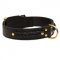 Incredible Design Newfoundland Braided Leather Collar