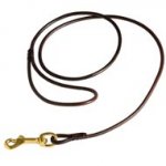 Fully Beneficial Show Leather Newfoundland Leash - Comfort for You and Your Dog