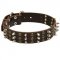 Newfoundland Spikes and Studs Rows Leather Dog Collar