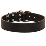Wide Leather Newfoundland Collar for Training and Walking