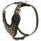 Adjustable Leather Newfoundland Harness Studded for Fashion Walking