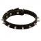 Newfoundland Leather Collar Spiked 3/4 Inch