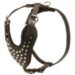 Adjustable Leather Newfoundland Harness Studded for Fashion Walking