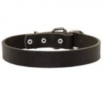 Newfoundland Leather Dog Collar For Pleasant Wearing