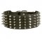 Newfoundland Leather Collar Spiked and Studded