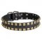 2 Rows Brass Studded Leather Newfoundland Collar for Walking and Training
