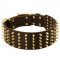 Wide Spiked Leather Newfoundland Collar