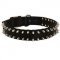 Newfoundland Nylon Collar Spiked