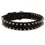 Newfoundland Nylon Collar Spiked