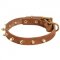 Walking Designer Leather Newfoundland Collar with Brass Spikes
