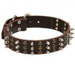 Newfoundland Spikes and Studs Rows Leather Dog Collar